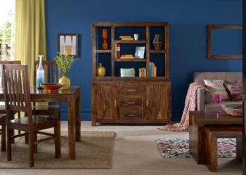 Is Sheesham Wood the right choice for your Furniture ?