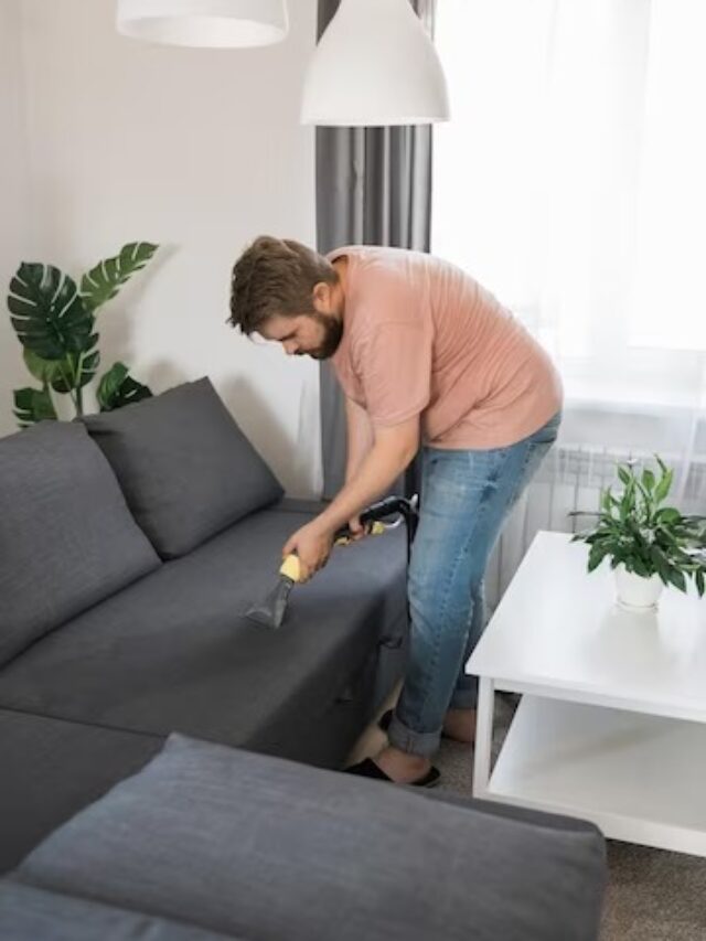 How To Clean Sofa At Home Duraster how-to-clean-sofa-at-home-duraster