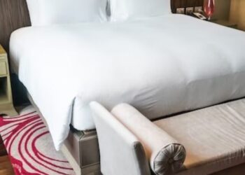 Ready to Buy a Sofa or Bed Tips Inside!